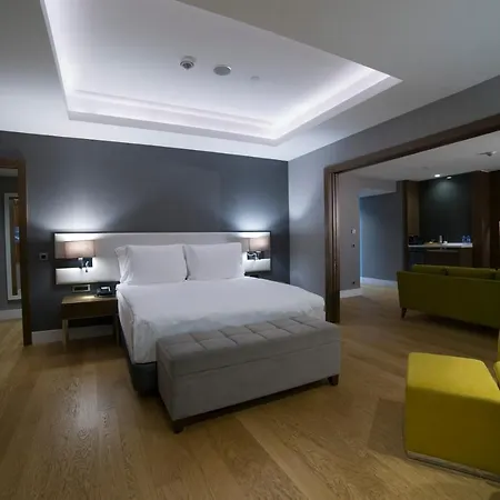 Radisson Blu Hotel,