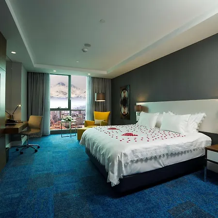 Hotel Radisson Blu Hotel, 5*