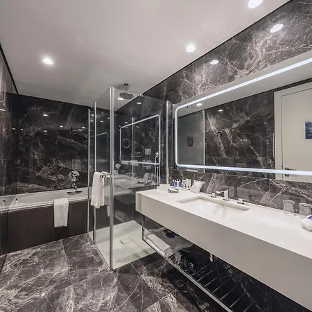 Radisson Blu Hotel, Hotel