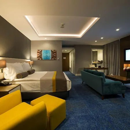 ホテル Radisson Blu Hotel, カイセリ