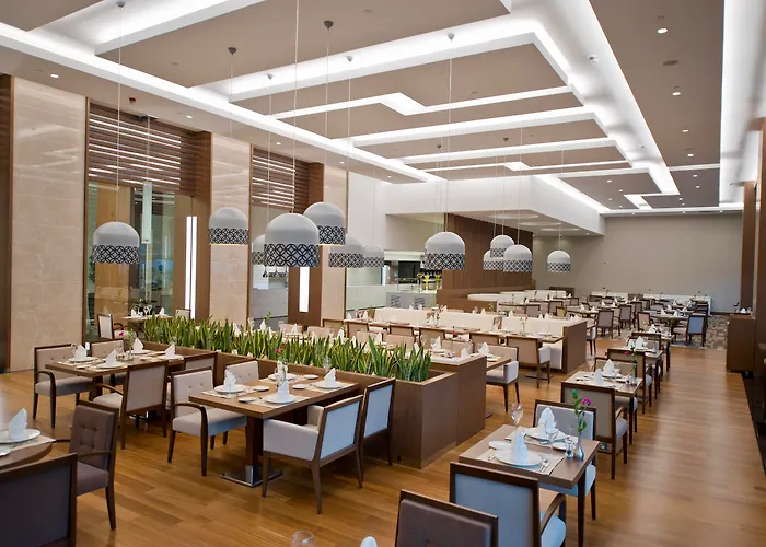 Radisson Blu Hotel, Отель Кайсери